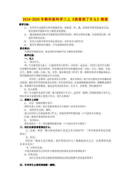 2019-2020年教科版科学三上《我看到了什么》教案