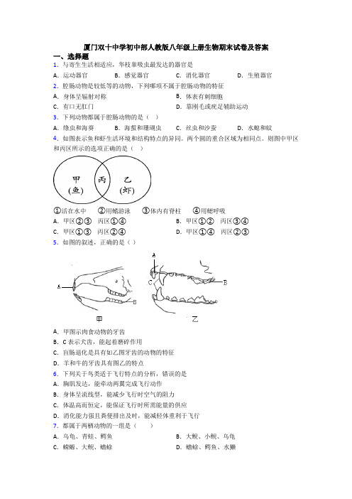 厦门双十中学初中部人教版八年级上册生物期末试卷及答案