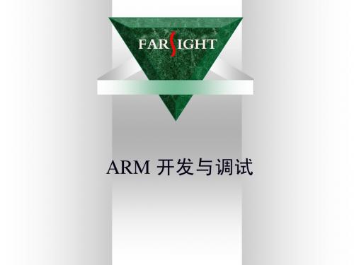 10 ARM 开发与调试