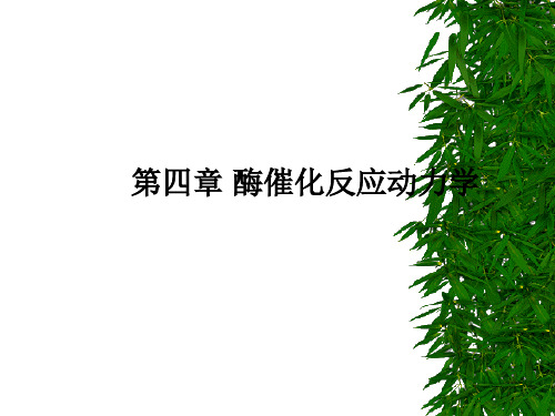 第四章 均相酶催化反应动力学