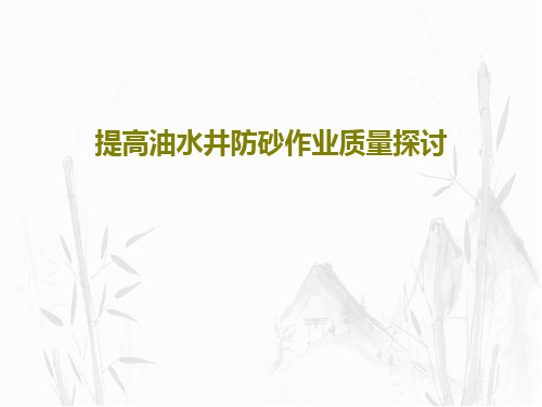 提高油水井防砂作业质量探讨PPT文档38页