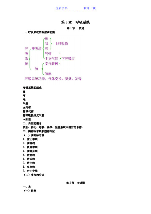 《正常人体学基础》教案 第五章 呼吸系统