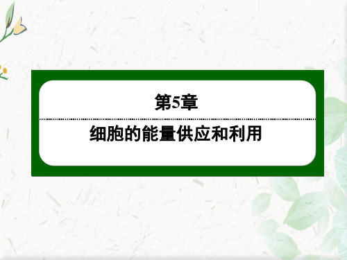 生物人教版必修1课件:5-1 降低化学反应活化能的酶