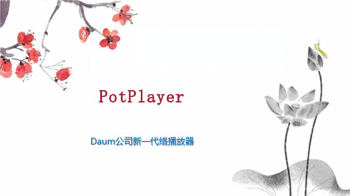 PotPlayer