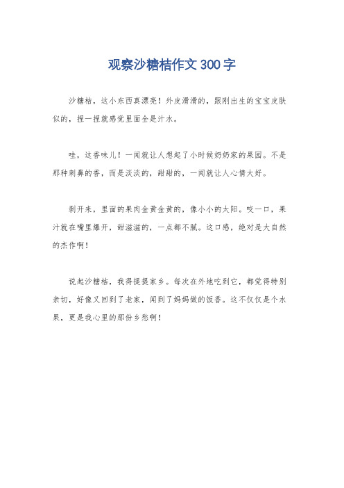 观察沙糖桔作文300字