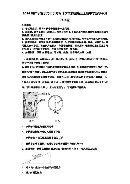 2024届广东省东莞市东方明珠学校物理高三上期中学业水平测试试题含解析