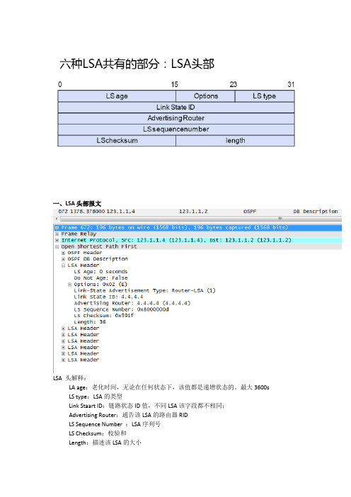 OSPF的LSA头部