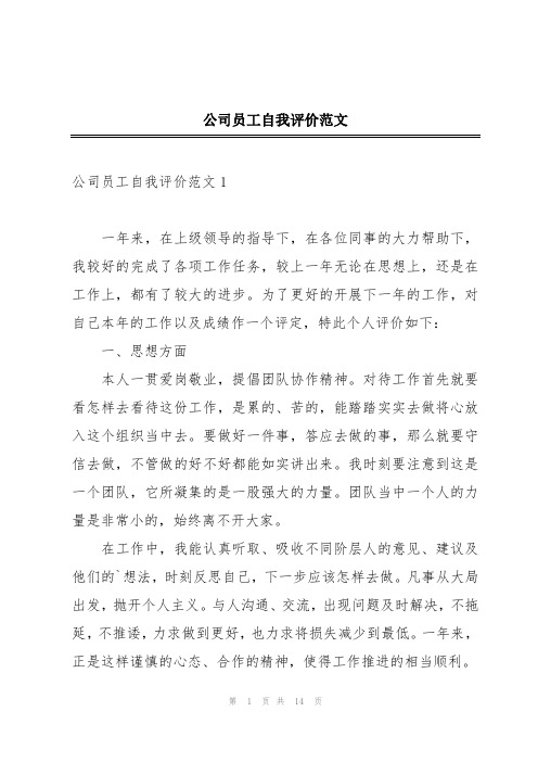 公司员工自我评价范文