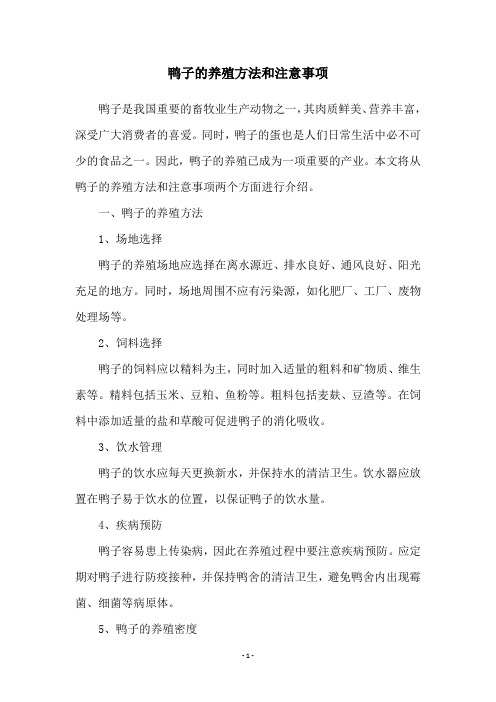 鸭子的养殖方法和注意事项