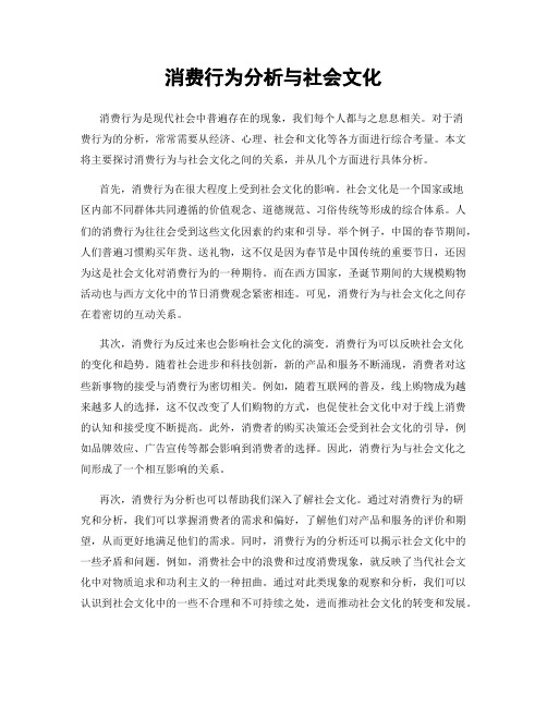 消费行为分析与社会文化