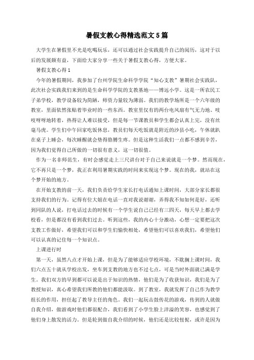 暑假支教心得精选范文5篇