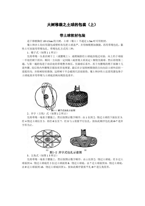 大树移栽之土球的包装