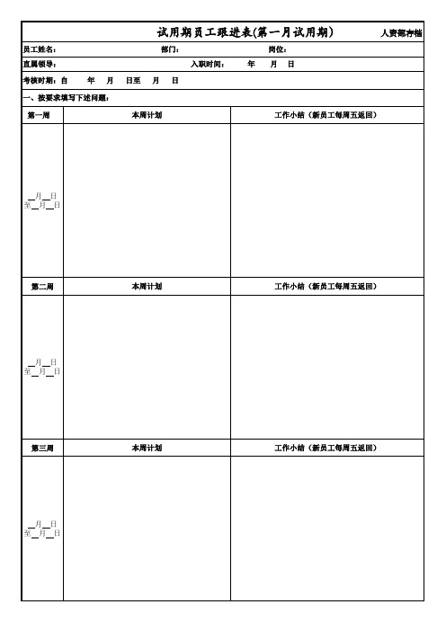 新员工试用期跟进表第一个月xls