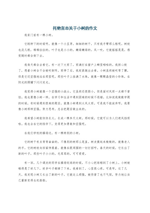 托物言志关于小树的作文