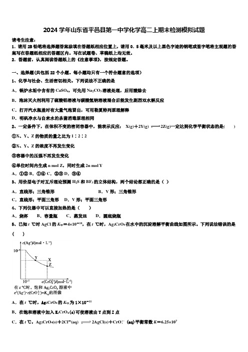 2024学年山东省平邑县第一中学化学高二上期末检测模拟试题含解析