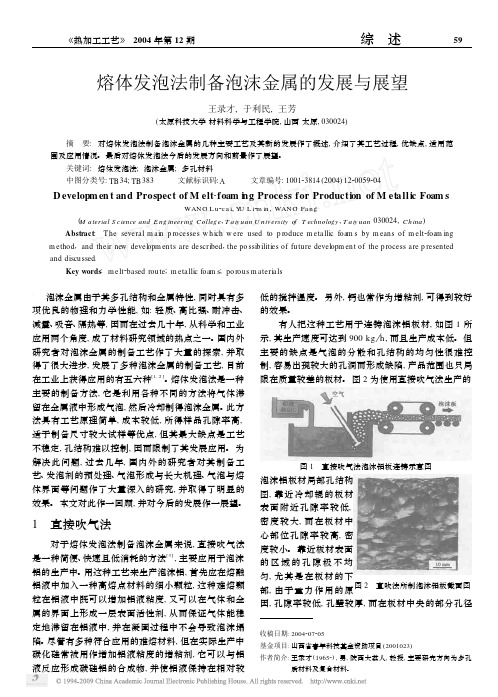 熔体发泡法制备泡沫金属的发展与展望