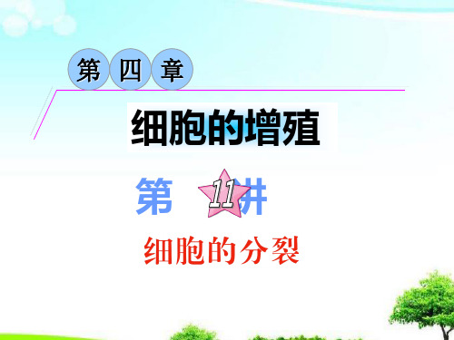 中小学优质课件细胞的分裂课件.ppt