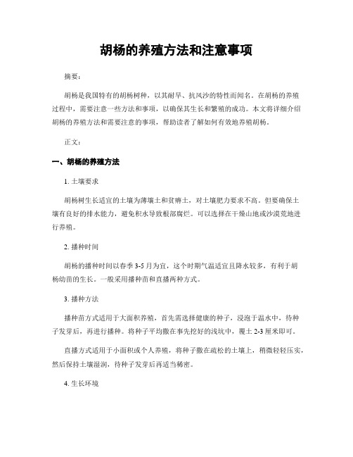 胡杨的养殖方法和注意事项