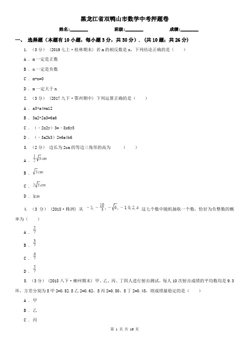 黑龙江省双鸭山市数学中考押题卷