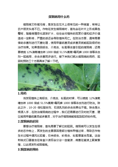 煤烟病用什么药