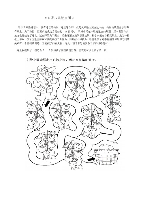 2-6岁少儿迷宫图2