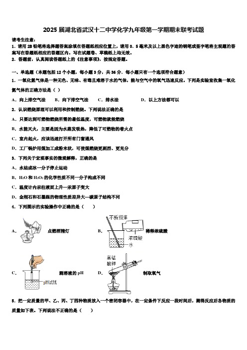 2025届湖北省武汉十二中学化学九年级第一学期期末联考试题含解析