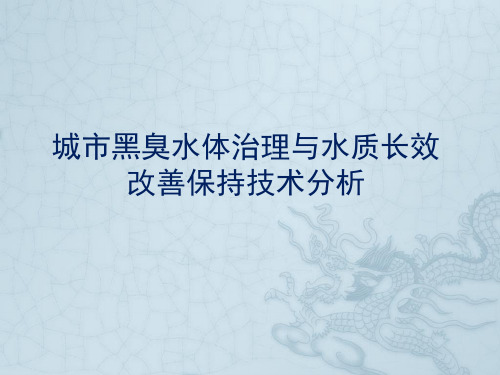 城市黑臭水体治理与水质长效改善保持技术分析