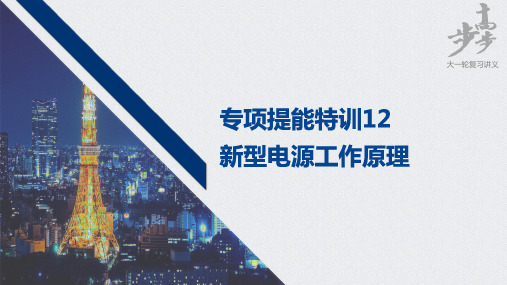 2021届高中化学高三步步高一轮复习资料第六章 专项提能特训12