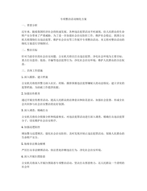 专项整治活动细化方案