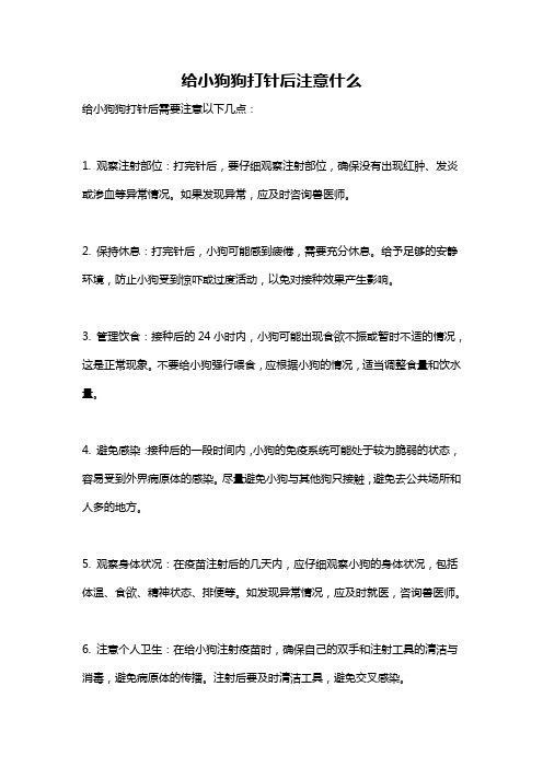 给小狗狗打针后注意什么