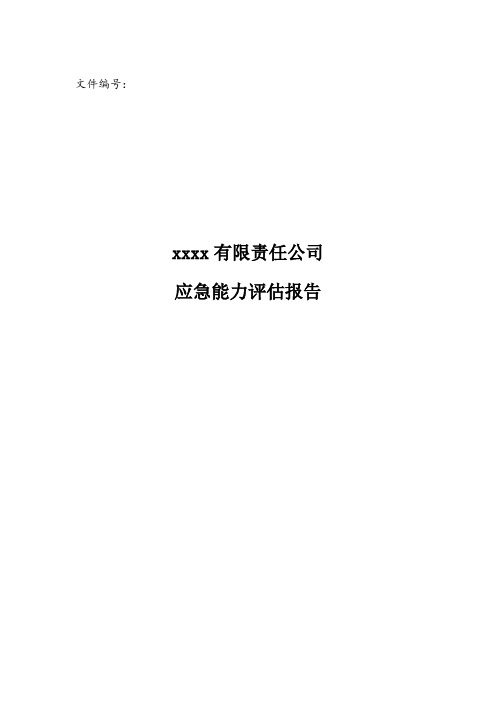 xx应急能力评估报告