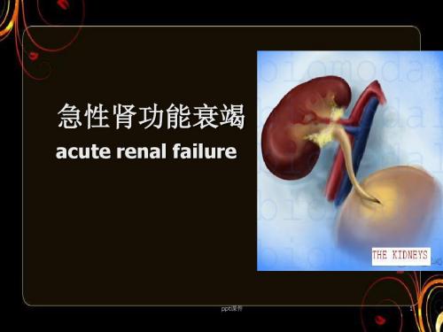 急性肾功能衰竭  ppt课件