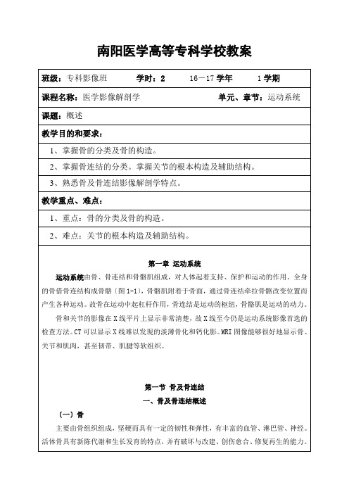 医学影像技术《2骨连结概述》