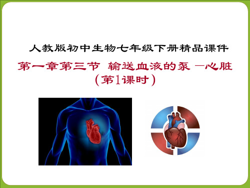 输送血液的泵-心脏 ppt