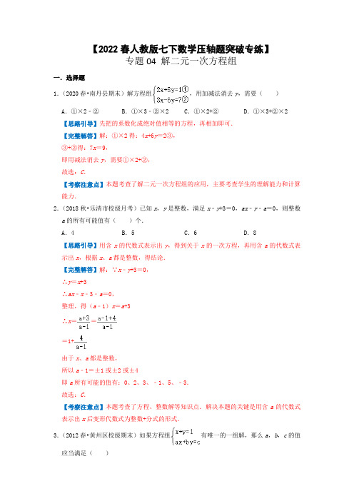 专题04  解二元一次方程组【2022春人教版七下数学压轴题突破专练】(解析版)