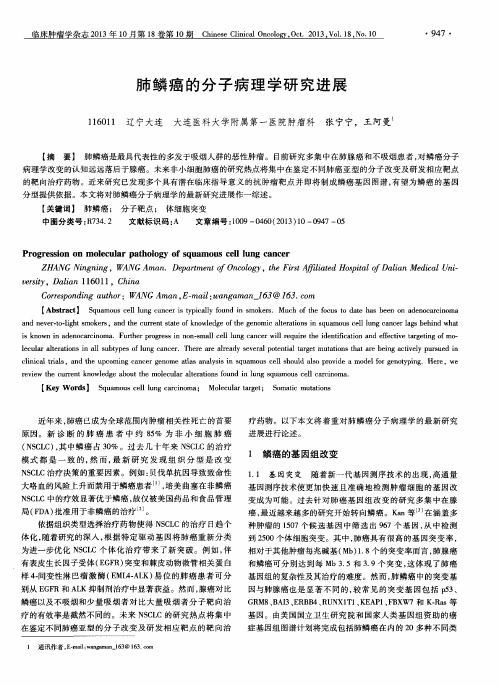 肺鳞癌的分子病理学研究进展