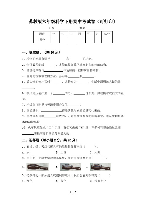 苏教版六年级科学下册期中考试卷(可打印)