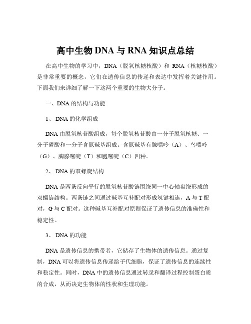 高中生物DNA与RNA知识点总结