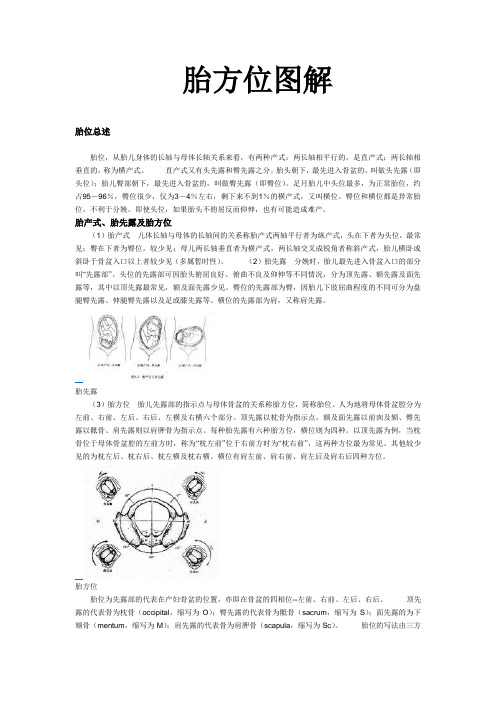 胎方位模型详细图解(2012经典版)