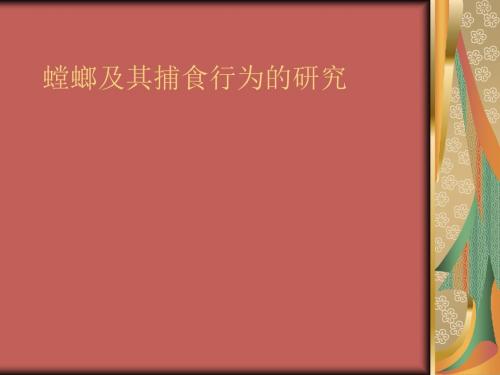 螳螂及其捕食行为的研究