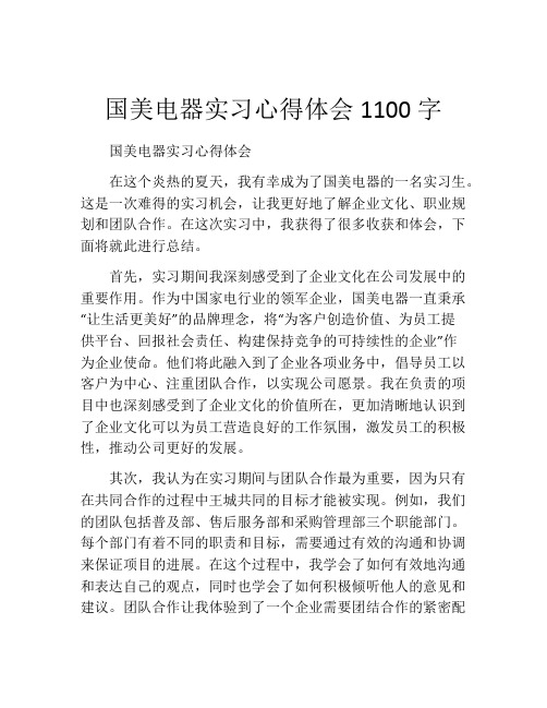 国美电器实习心得体会1100字