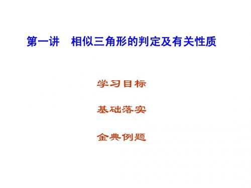 第一讲相似三角形的判定及有关性质