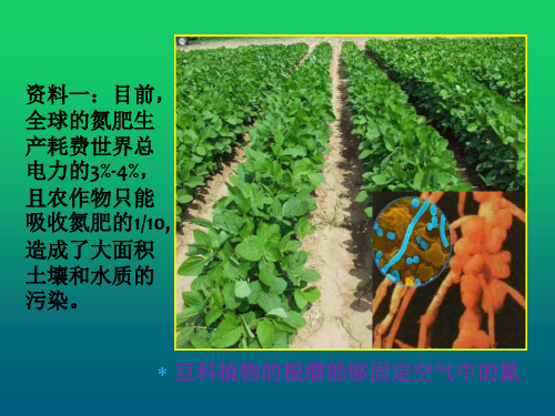 《基因工程及其应用》ppt.ppt