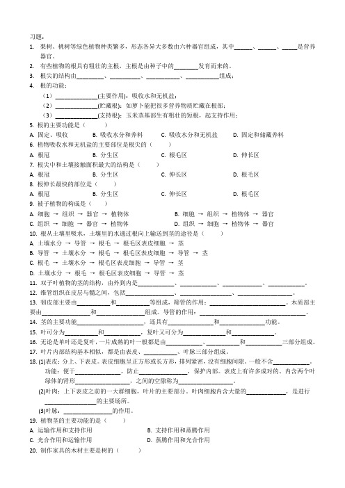 绿色植物的营养器官的习题(根、茎、叶)