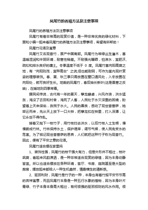 凤尾竹的养殖方法及注意事项