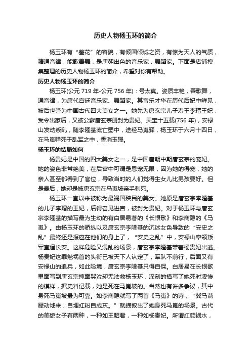 历史人物杨玉环的简介