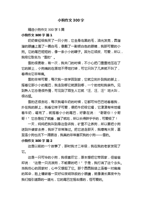 精选小狗作文300字5篇