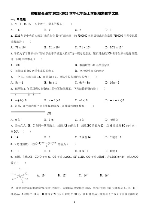 安徽省合肥市2022-2023学年七年级上学期期末数学试题(含答案) (2)