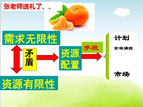 人教版高中政治必修一9.1市场配置资源