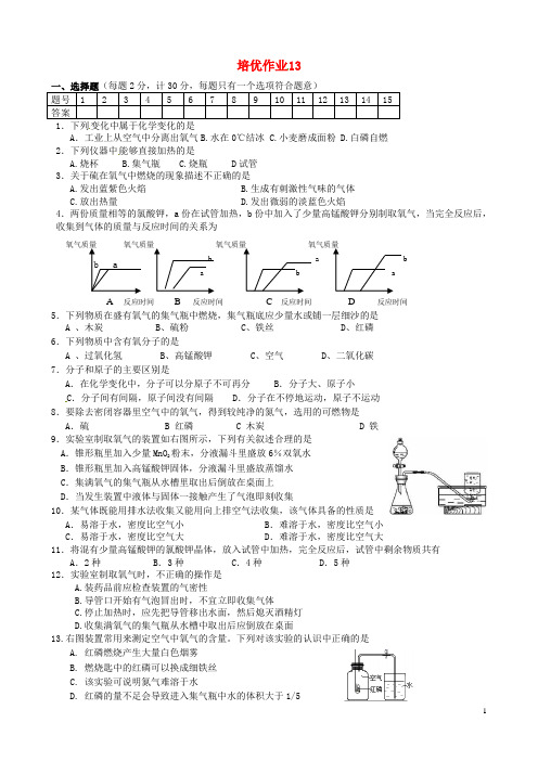 九年级化学下学期培优作业13(无答案) 新人教版